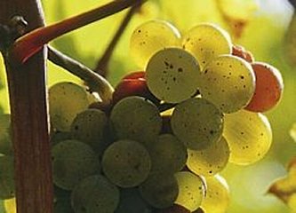 Blick auf die Terrasse